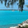 stapple_224